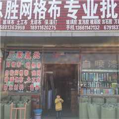 忠胜网格布
