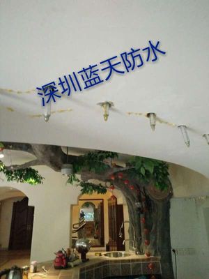 南山武先生家装维修师傅3