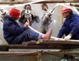 河西全境蔡经理家装维修师傅4