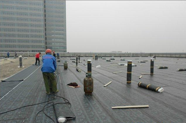 沙坪坝杨师傅家装维修师傅3